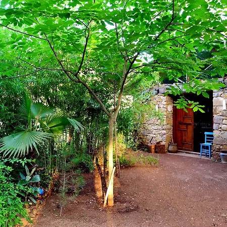 Daphne House 2* Olimpos