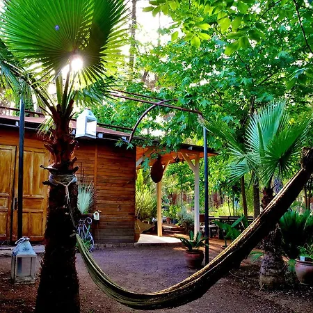 Daphne House Konukevi