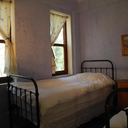 Daphne House Konukevi Olimpos