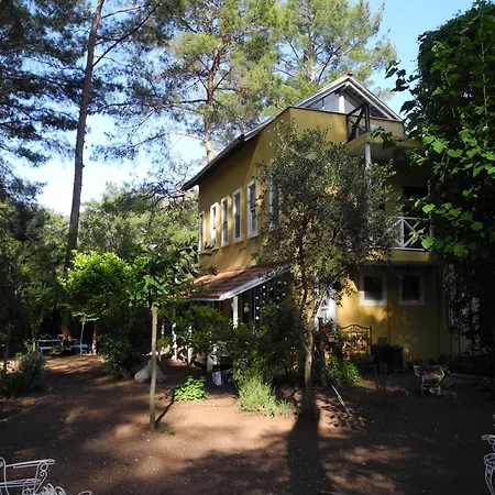 Daphne House Konukevi