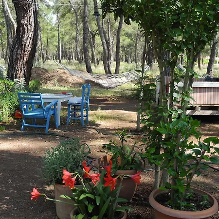 Daphne House