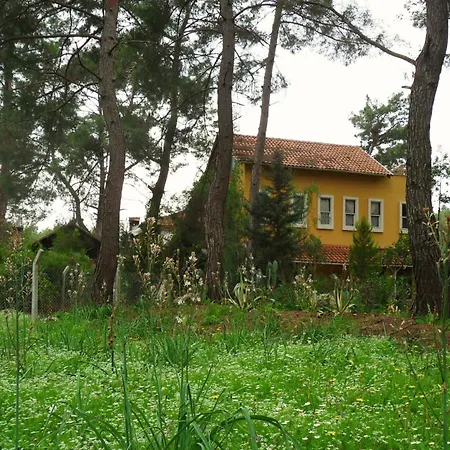 Daphne House