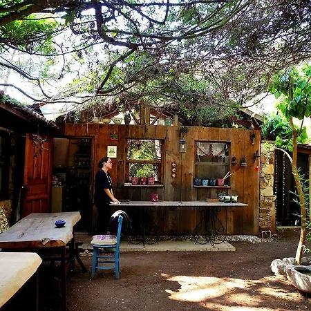 Daphne House Olimpos