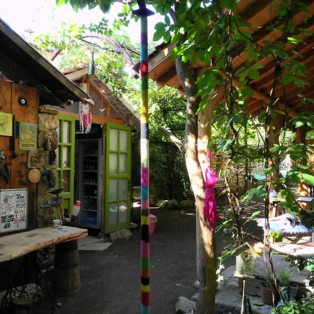 Daphne House