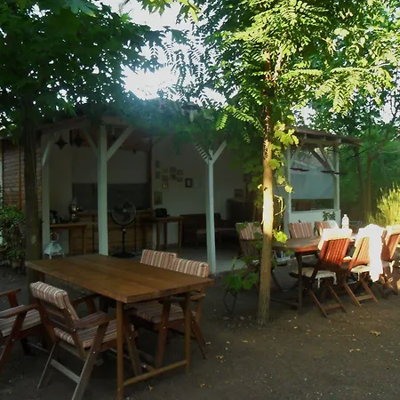 Daphne House 2* Olimpos