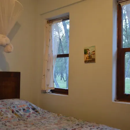 Daphne House Guest house